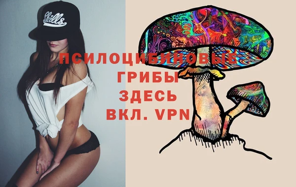 СК Снежинск